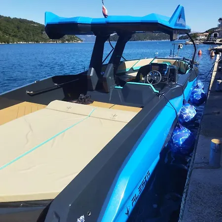 Raptor * Dubrovnik